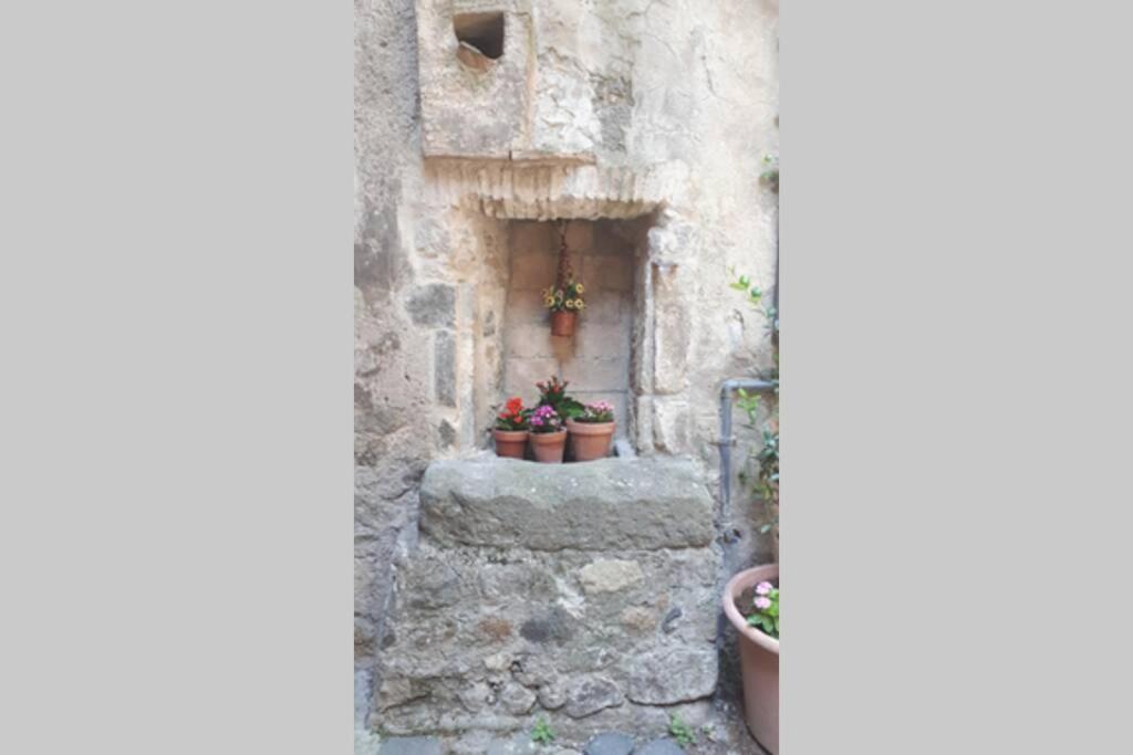 ボルセーナ Residenza Monastero De' Mediciヴィラ エクステリア 写真